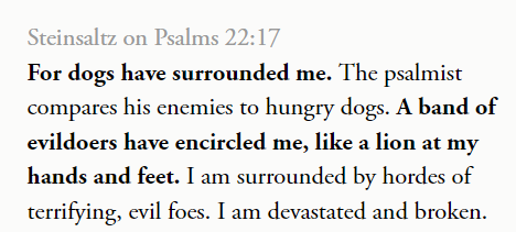 Steinsaltz on Dogs in Psalm 22