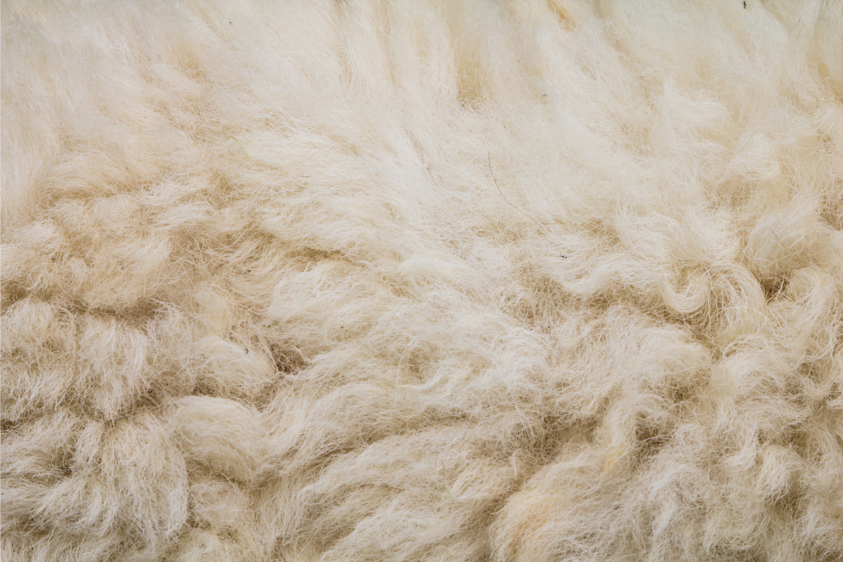 A closeup image of fleece.